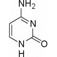Cytosine Cytosine