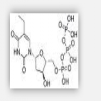 Ethyl Deoxyuridine