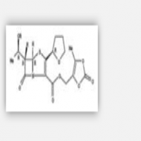 Faropenem Medoxomil