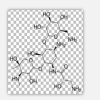Isepamicin Isepamicin