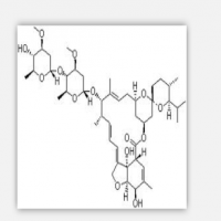 Ivermcctin Ivermcctin