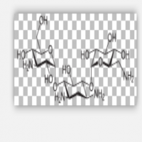 Kanamycin Kanamycin