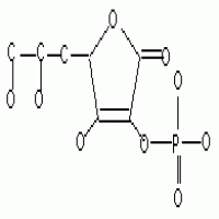 L-Ascorbate-2-Phosphate L-Ascorbate-2-Phosphate