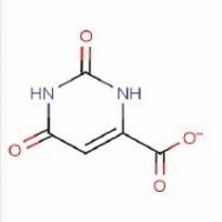 Lithium orotate