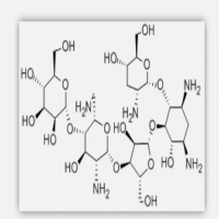 Lividomycin Sulfate Lividomycin Sulfate