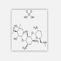 Micronomicin Sulfate Micronomicin Sulfate