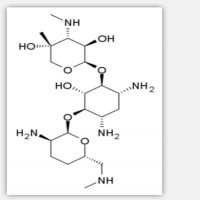 Micronomicin Micronomicin