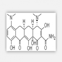 Minocycline Minocycline