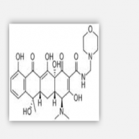 Morphocycline Morphocycline