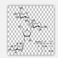 Neomycin Neomycin