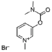 Pyridostigmine Bromide Pyridostigmine Bromide