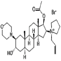 Rocuronium Bromide Rocuronium Bromide