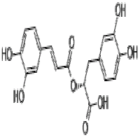 Rosmarinic acid