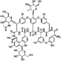 Teicoplanin Teicoplanin