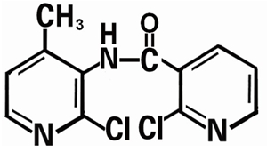 2-chloro-N-(2-4-methyl pyridine chloride-3-base) niacinamide 2-chloro-N-(2-4-methyl pyridine chloride-3-base) niacinamide