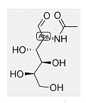 N-acetyl-β-D-galactosamine N-acetyl-β-D-galactosamine