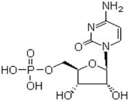 5-cytidylate monophosphate 5-cytidylate monophosphate