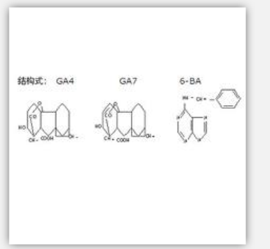 6-Benzylamino-purine + Gibberellin Acid (A4) + Gib 6-Benzylamino-purine + Gibberellin Acid (A4) + Gib