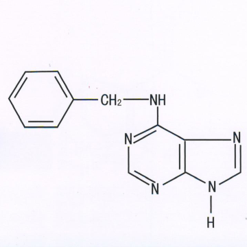 6-Benzylaminopurine 6-Benzylaminopurine