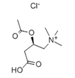 Acetyl-L Carnitine Acetyl-L Carnitine