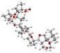 Adamantyl Tetracycline Adamantyl Tetracycline