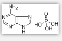 Adenine phosphate Adenine phosphate
