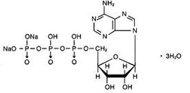 Adenosine disodium triphosphate Adenosine disodium triphosphate