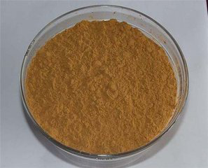 Aeruginous Turmeric Rhizome Extract Aeruginous Turmeric Rhizome Extract