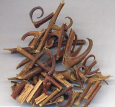 Aharpleaf ucaria stem with hooks extract Aharpleaf ucaria stem with hooks extract
