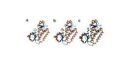 Albomycin Sulfate Albomycin Sulfate