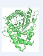 Aldolase Aldolase