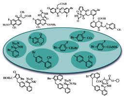 Aldose Reductase Aldose Reductase