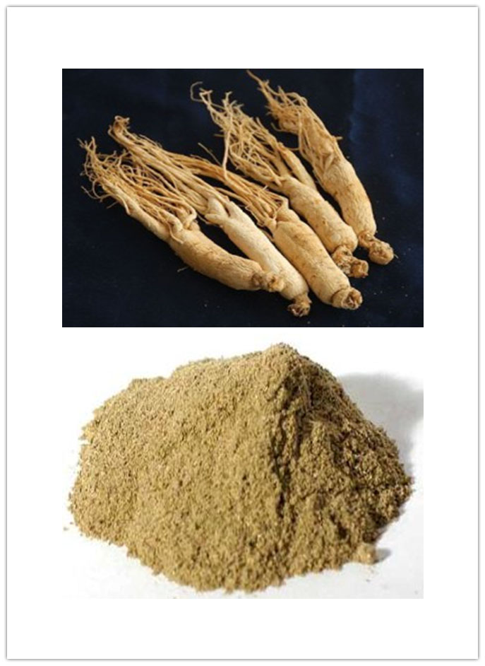 American Ginseng Powder American Ginseng Powder