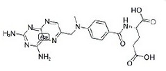 Amethopterin Amethopterin