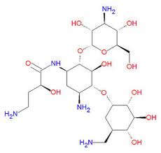 Amikacin Amikacin