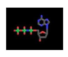 Amino-Deoxyadenosine Amino-Deoxyadenosine