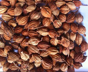 Amomum Fruit Extract Amomum Fruit Extract