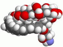 Amphotericin B Amphotericin B