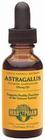 Astragalus gum Astragalus gum