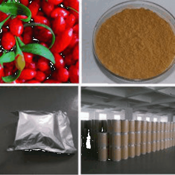 Barbury Wolfberry fruit P.E. Barbury Wolfberry fruit P.E.