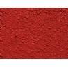 Basella rubra red Basella rubra red