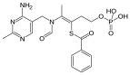 Benfotiamine Benfotiamine