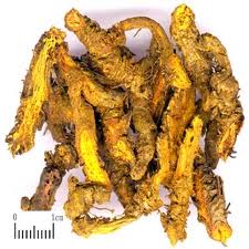 Berberine Berberine