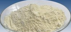 Beta-Amylase Beta-Amylase