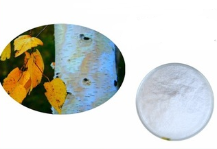 Birch bark extract Birch bark extract