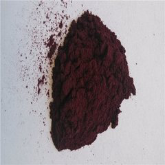 Black Currant Extract Black Currant Extract