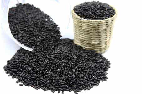 Black Rice Extract Black Rice Extract