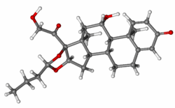 Budesonide Budesonide