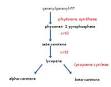 Carotenoids Carotenoids