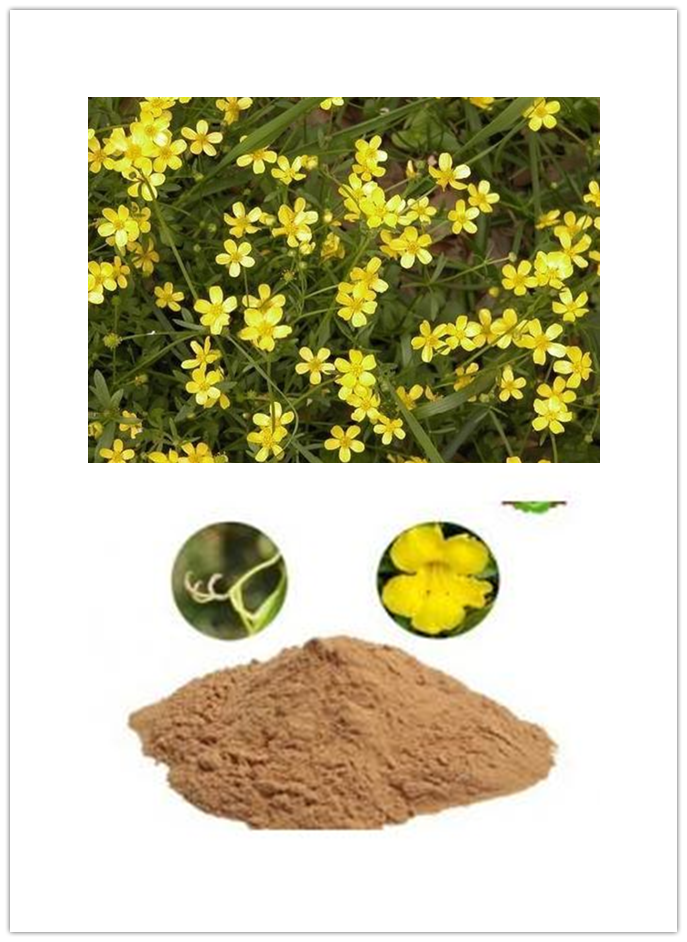 Cat s Claw extract Cat s Claw extract
